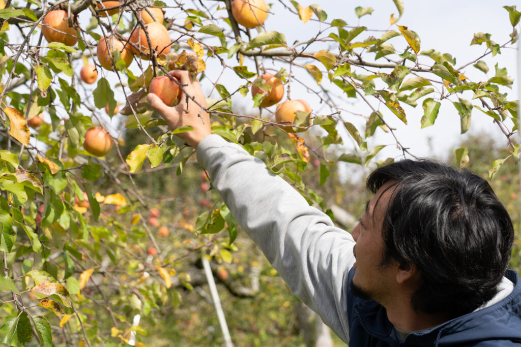 【群馬】到沼田體驗Pension，來一場香甜的蘋果之旅吧！ | 22